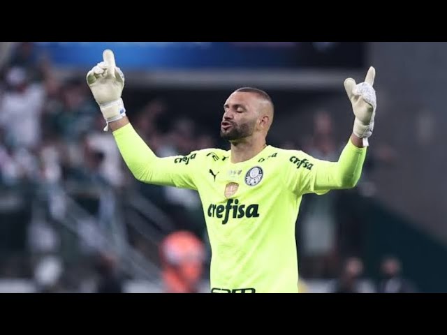 Weverton 2023 - Defesas & Reflexos Absurdos - Palmeiras