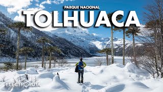 Araucania Andina | Tolhuaca y Malalcahuello | Parques Nacionales de Chile 19/46