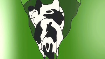 Needletail MAP part | Icarus :: 12