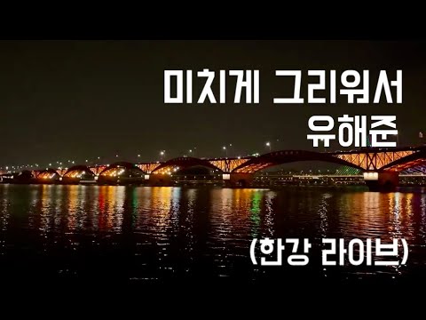 미치게 그리워서 - 유해준 (한강 버스킹)