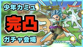【ドラクエタクト】少年カミュ完凸ガチャ会場【廃課金】