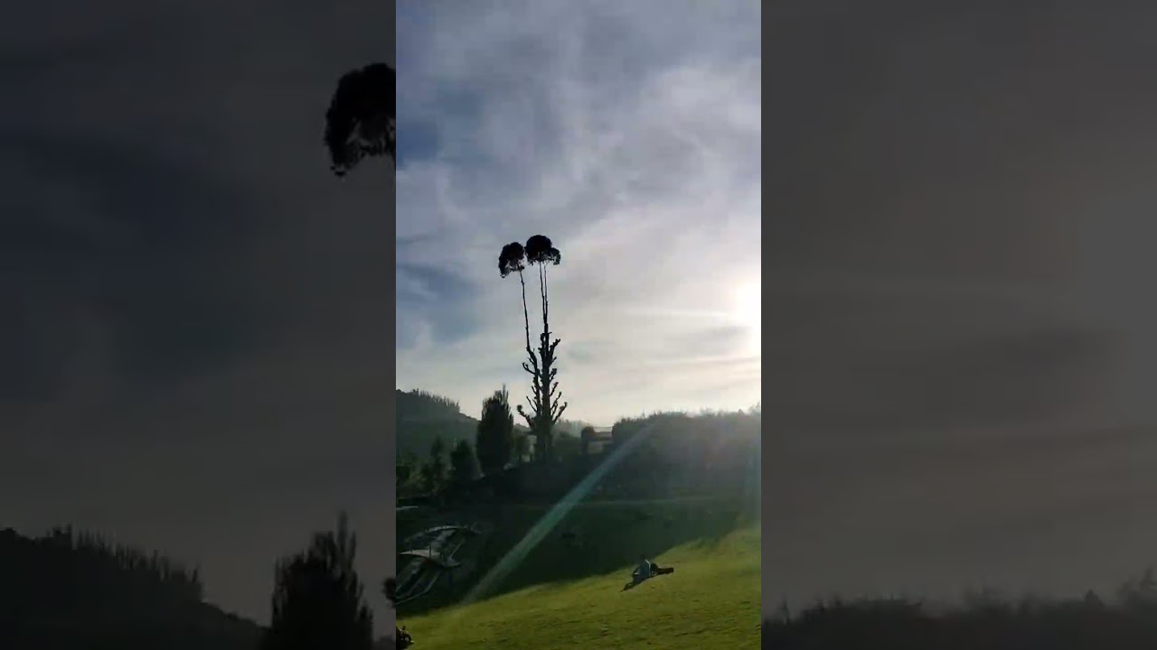 Karnataka garden Ooty 