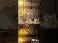 شينزو ساساقيو شينزو ساساقيو