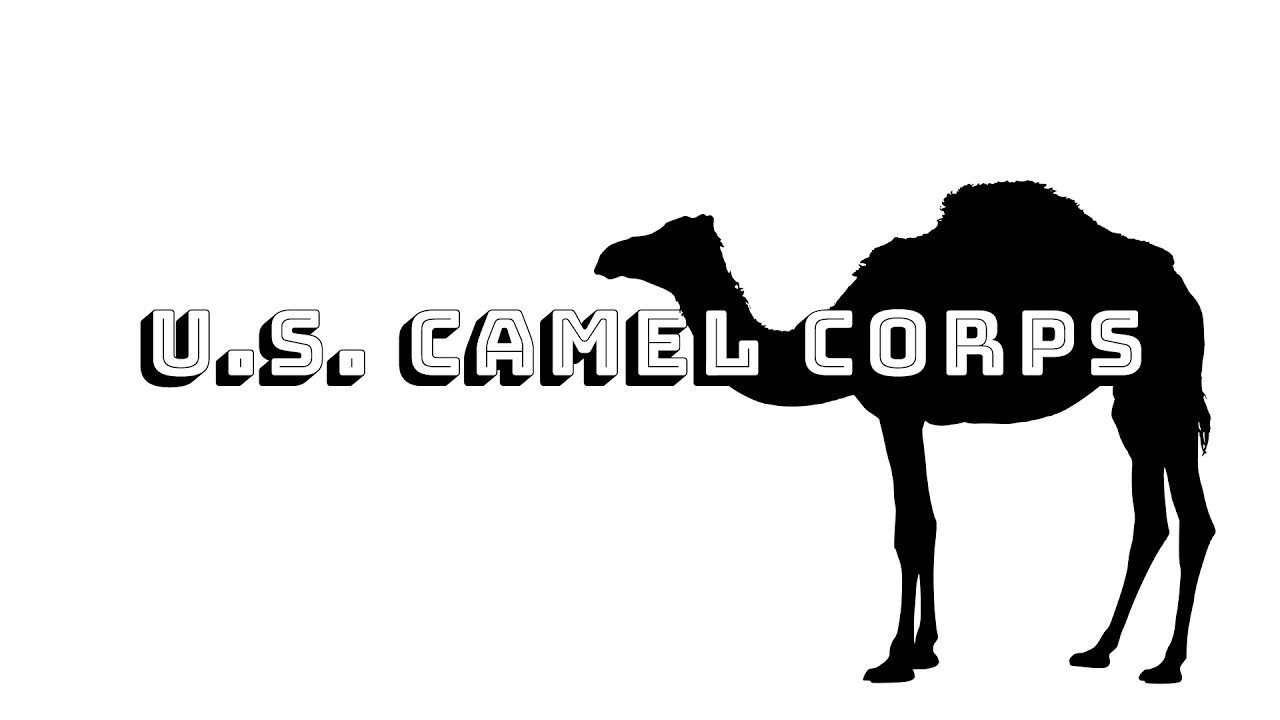 Obscurigami Ep20 Camel Corps Podcast