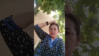 HELLO PO MGA KALANGGA