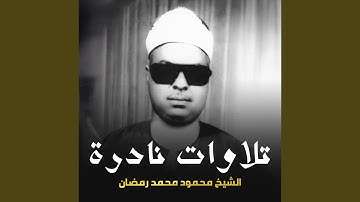 تلاوة من سورة ق (لايف)