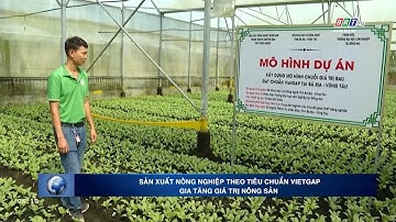 Sản xuất nông nghiệp theo tiêu chuẩn VietGap gia tăng giá trị nông sản | BRTgo
