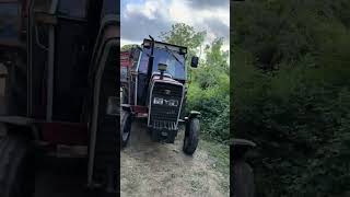 Mey Ferguson 286 D Silaj Yüklü Remork Cekmesi