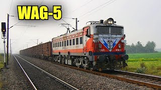 Class WAG-5 Electric Locomotives in India 2015 🇮🇳