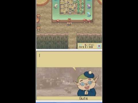 Harvest Moon DS Cute - Harvest Sprite Code