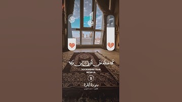 🔊 سورة البقرة كاملة بصوت خاشع يريح القلب | تلاوة تهزّ الوجدان | القارئ أحمد النفيس 🎧