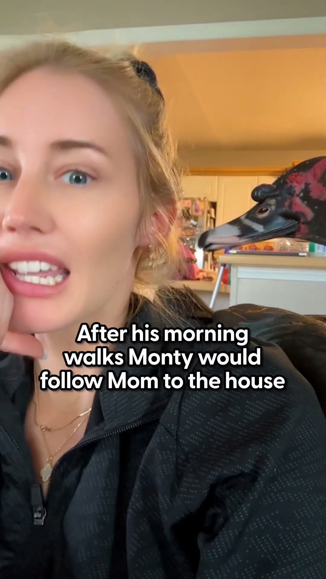 Woman Adopts A Duckling Found In The Middle Of The Road | The Dodo