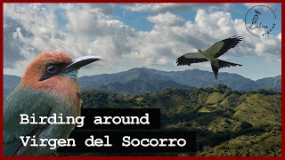 Birding around Virgen del Socorro, Costa Rica | A Classic Hotspot