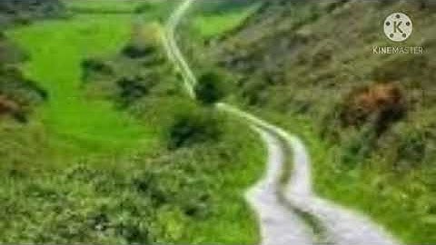 آمن الرسول آخر آيتين من سورة البقرة بصوت الشيخ فارس عباد 😌 جوده عاليه HD