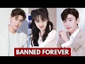 Top chinese actor who got bannedcancelled forever 2024  handsome chinese actors