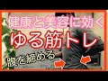 【ゆる筋トレ】美姿勢と健康維持のための ”キツくない”「ゆる腹筋」