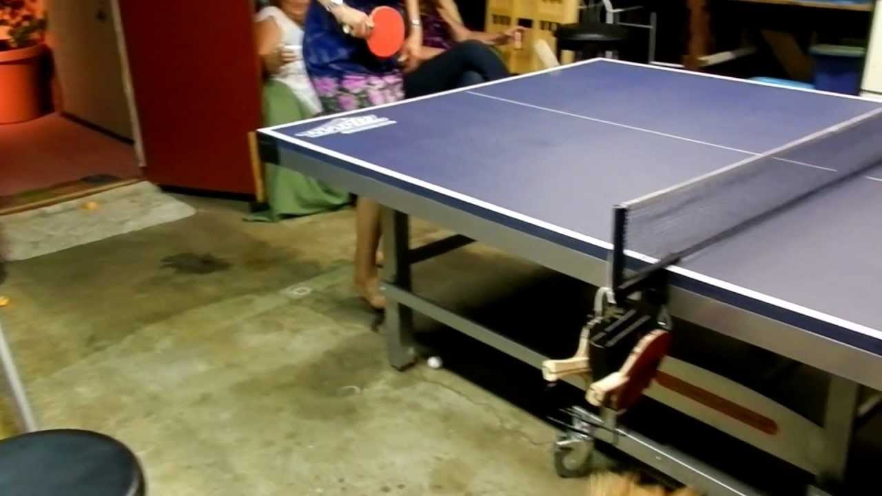 Ping Pong Wizard Dog (How to exercise your dog!!!) YouTube