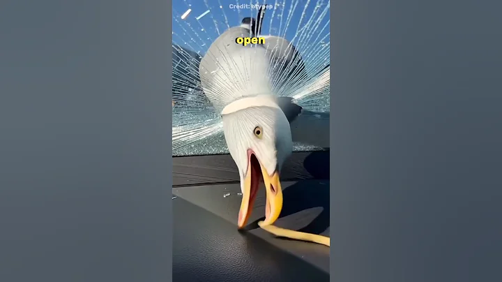 The man didn't expect that 😂