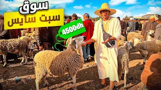 اليوم من سوق السبت سايس إقليم الجديدة 🇲🇦مع أثمنة حولي عيد الأضحى 🐑 بتاريخ 18/05/2024 الخير موجود