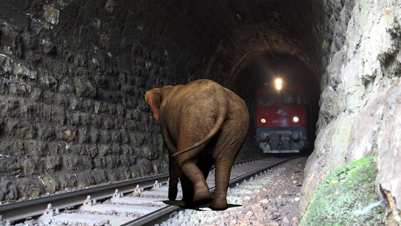 Big Elephant vs real train | stop the train | Sun Daily