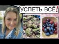 ВСЕ УСПЕТЬ!/ВАНЯ СЛОМАЛ ЗУБ🦷/ГРАД В ДУБЛИНЕ/ПОКУПКИ К ПАСХЕ/КРАСИМ ЯЙЦА🥚🥚🥚/НОВЫЙ РЕЦЕПТ КУЛИЧА🐣