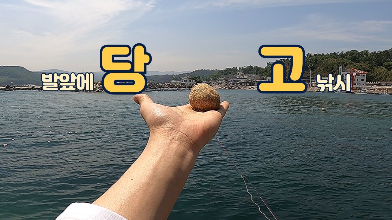 매일 같은 낚시 지겨울땐 당고낚시 어떠세요???(아이들이 좋아하는 낚시)