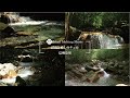 森の水と優しいチェロ 信州奈川（自然映像とBGM/心身浄化・癒し/作業用BGM）sound of Healing Cello