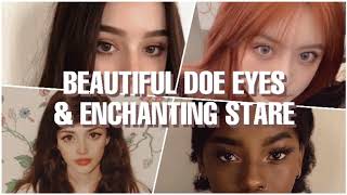 Bandel Bambie Doe Eyes