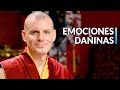 37 Prácticas: (34-35) Los estados aflictivos y su expresión | Lama Rinchen Gyaltsen