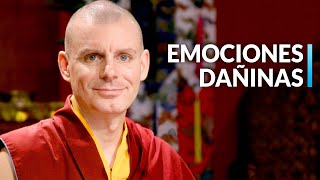 37 Prácticas: (3435) Los estados aflictivos y su expresión | Lama Rinchen Gyaltsen