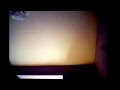 Oleg Safari Review I Can T Celebrate Halloween Because It S On My Aunties Birthday 