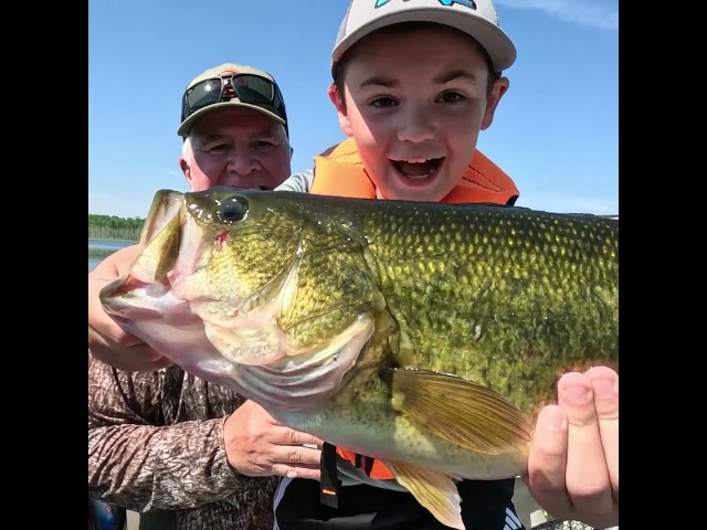 MONSTER Minnesota Bass! #fishing #bassfishing