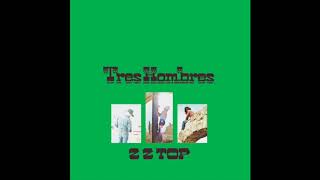 Beer Drinkers &amp; Hell Raisers (Extended Mix) - ZZ Top