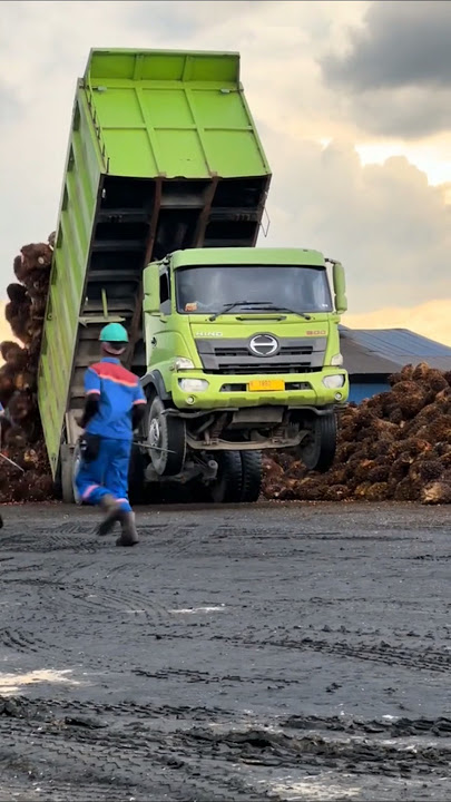 TRUK GANTENG ‼️ bongkar sawit #truktertua #trukoleng #automobile #cinematic #driver #beranda