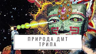 Природа ДМТ трипа, или что происходит когда вы курите ДМТ