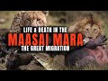 The epic struggle of life  death during the great migration in the maasai mara kenya africa