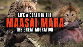 The Epic Struggle of Life & Death During the Great Migration in the Maasai Mara, Kenya, Africa by Harry Collins Photography 1,746 views 2 months ago 12 minutes, 16 seconds