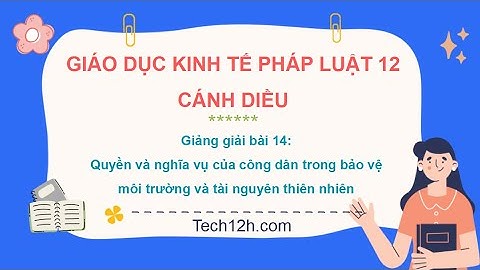 Giảng bài 14: Quyền, NV của công dân trong BVMT và TNTN | Bài giảng Kinh tế pháp luật 12 Cánh diều