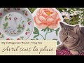 Vlog 29  des fleurs un chat et de la peinture 