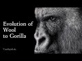 【羊毛造形】Evolution of Wool to Gorilla