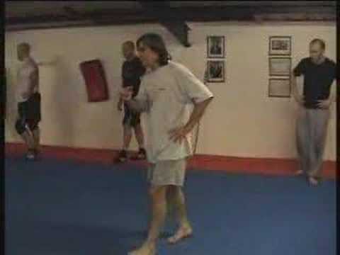 Steve Morris Total Body Movement (round kick)