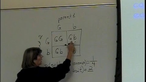 Basic Terms of Probability (part 4)