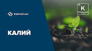 Калий. Особенности калийного питания и причины дефицита калия в почве