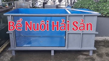 Bể Nuôi Hải Sản🐬 (200x100x850) Nhựa frp nguyên khối | Giang Minh Composite