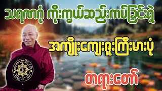 သရဏဂုံ ကိုးကွယ်ဆည်းကပ်ခြင်းရဲ့ အကျိုးကျေးဇူးကြီးမားပုံ တရားတော် - ပါချုပ်ဆရာတော်