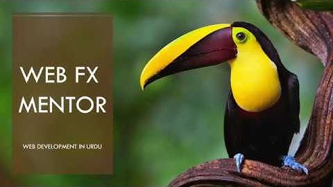 How to solve margin-collapsing | Solve Margin-Collapsing | What is margin-collapsing in html and css