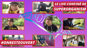 Le live confiné de Superorganism | On Reste Ouvert