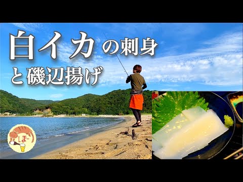 【白イカの刺身】ぼっち女の釣りソロキャンプ 【キス天ぷら】Squid Sashimi, Fishing and Camping[Japanese style izakaya at camp]