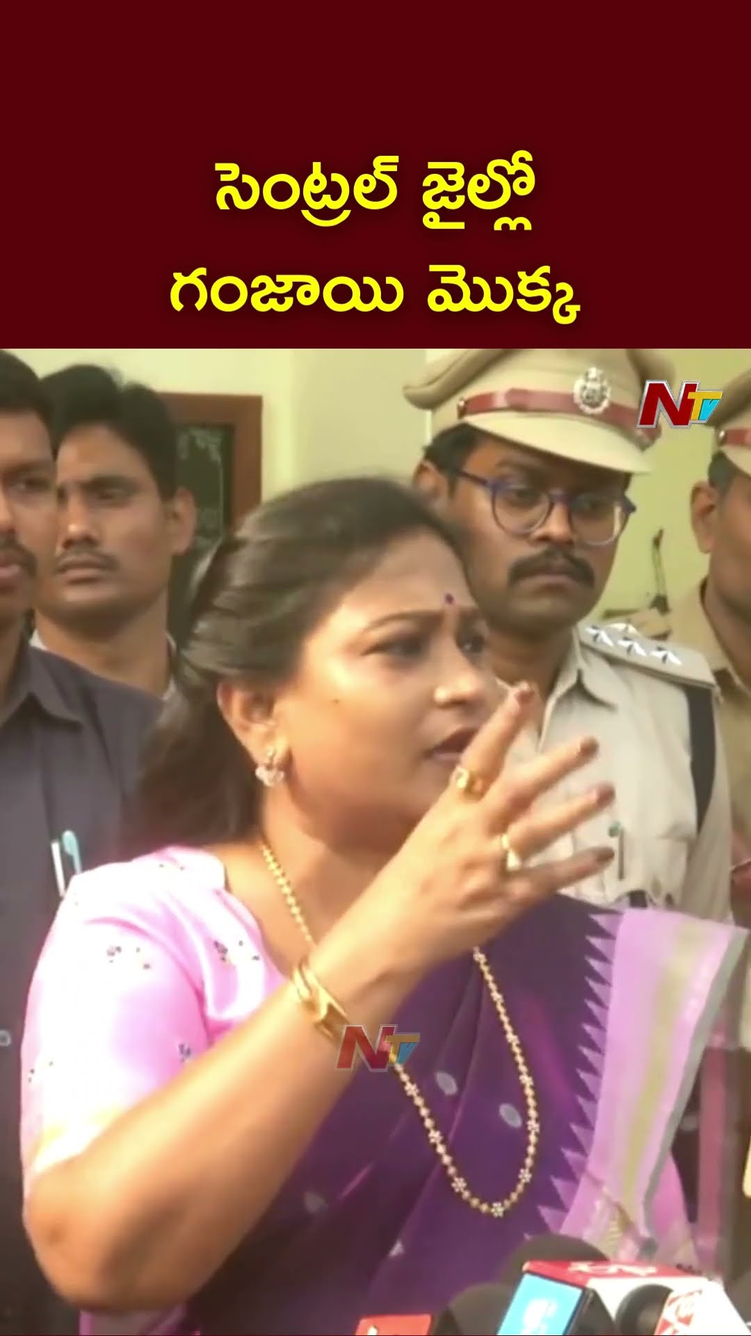 సెంట్రల్ జైల్లో గంజాయి మొక్క: Home Minister Vangalapudi Anitha | Ntv