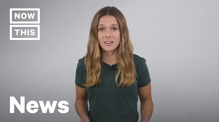 The Amazon Is Burning: How You Can Help | NowThis